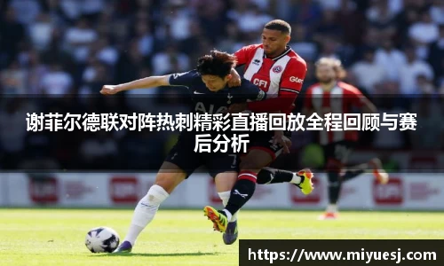 谢菲尔德联对阵热刺精彩直播回放全程回顾与赛后分析